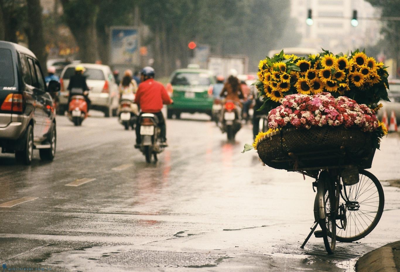 Ngắm mùa thu lung linh sắc màu ở Việt Nam VIETRAVEL